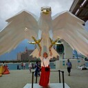  ,   , 52 ,   ,   , c 