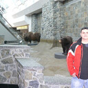 ���������� ��������, ���� ������� �������, 40 ���, ������������ ��� ������, ����� � ���������, c�������� ���������