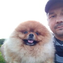 ���������� ���������� �����, ���� ������� ������, 41 ���, ������������ ��� ������, ����� � ���������, c�������� ���������