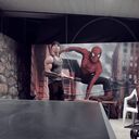 ���������� ������, ���� ������� ��������, 38 ���, ������������ ��� ������, ���������