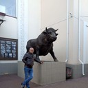 ���������� �������, ���� ������� �����, 40 ���, ������������ ��� ������, ����� � ���������, c�������� ���������