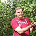 ���������� ������, ���� ������� ������, 41 ���, ������������ 