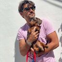 ���������� ������, ���� ������� ������, 38 ���, ������������ ��� c�������� ���������