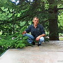 ���������� �����������, ���� ������� �����, 56 ���, ������������ ��� ������, ����� � ���������, c�������� ���������