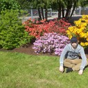 ���������� ����, ���� ������� �������, 41 ���, ������������ ��� ������, ����� � ���������, c�������� ���������