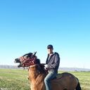 ���������� ������, ���� ������� ����, 30 ���, ������������ ��� ������, ����� � ���������