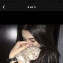 ���������� ������, ���� ������� �����, 24 ����, ������������ ��� ������, ����� � ���������