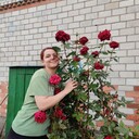  ,   , 28 ,   , 