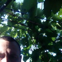  ,   , 43 ,     , c 