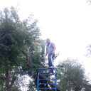 ���������� ���������, ���� ������� �������, 46 ���, ������������ ��� ������, ����� � ���������, c�������� ���������