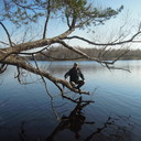 ���������� ���������, ���� ������� �����, 44 ����, ������������ ��� ������, ����� � ���������, c�������� ���������