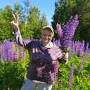 ���������� ���������, ���� ������� ������, 67 ���, ������������ ��� c�������� ���������