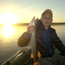 ���������� ���������, ���� ������� ������, 40 ���, ������������ ��� c�������� ���������