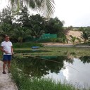 ���������� ������, ���� ������� ��������, 75 ���, ������������ ��� ������, ����� � ���������, c�������� ���������