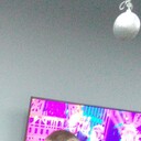 ���������� ����, ���� ������� �������, 31 ���, ������������ ��� ������