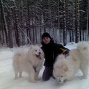 ���������� ������, ���� ������� Nikc, 36 ���, ������������ ��� ������, ����� � ���������, c�������� ���������, ���������