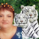 ���������� ����, ���� ������� ����, 47 ���, ������������ ��� ����� � ���������, c�������� ���������