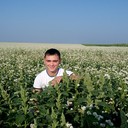 ���������� ��������, ���� ������� ���������, 38 ���, ������������ ��� ������, ����� � ���������, c�������� ���������