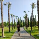 ���������� ���������, ���� ����� ������, 20 ���, ������������ ��� ������, ����� � ���������, ���������