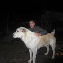 ���������� �����, ���� ������� ����, 43 ����, ������������ ��� ������