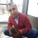  ,   Kanat, 39 ,  