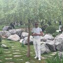 ���������� �������, ���� ������� ϸ��, 40 ���, ������������ ��� ������, ����� � ���������, c�������� ���������, ���������