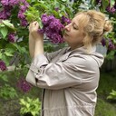 ���������� ������, ���� ������� �����, 50 ���, ������������ ��� ������, ����� � ���������, c�������� ���������, ���������