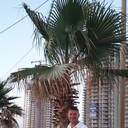  Hadera,   , 50 ,   ,   , c 