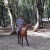  ,   Senan, 40 ,   ,   , c 