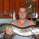 ���������� ������, ���� ������� ����, 43 ����, ������������ ��� ������, ����� � ���������, c�������� ���������