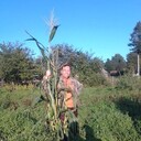 ���������� ���������, ���� ������� �������, 54 ����, ������������ ��� ������, ����� � ���������, ���������