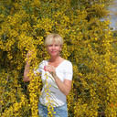 ���������� �����, ���� ������� �����, 55 ���, ������������ ��� ������, ����� � ���������, c�������� ���������