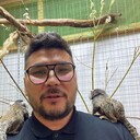  ,   , 41 ,   ,   , 