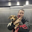 ���������� ������, ���� ������� �����, 33 ����, ������������ ��� ������, ����� � ���������, c�������� ���������