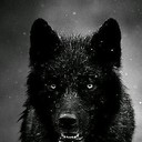 ���������� ����, ���� ������� � � � � � �, 40 ���, ������������ ��� ������, ����� � ���������, c�������� ���������