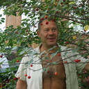   ,   , 66 ,     , c 