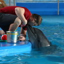  ,   , 44 ,   ,   , c 