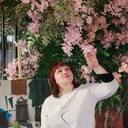  -,   , 51 ,   ,   , c , 