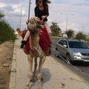 ���������� ����, ���� ������� Ekaterina, 30 ���, ������������ ��� ������