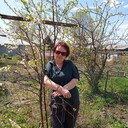 ���������� ���������, ���� ������� �����, 51 ���, ������������ ��� ������, ����� � ���������