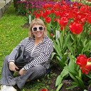  -,   , 51 ,  