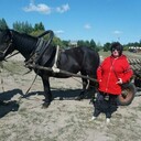  ,   , 66 ,   c 