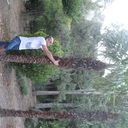  ,   , 41 ,   ,   , c , 