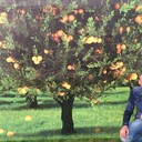 ���������� �����, ���� ������� �����, 43 ����, ������������ ��� ������, ����� � ���������, c�������� ���������