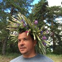  ,   , 56 ,  