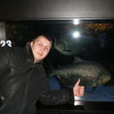  ,   Buliver, 37 ,   ,   , c , 