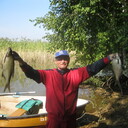  ,   Henry, 64 ,   ,   