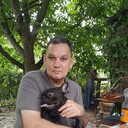  ,   , 56 ,  