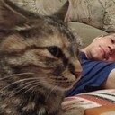 ���������� ������, ���� ������� ���� ������, 36 ���, ������������ ��� ������, ����� � ���������, c�������� ���������, ���������