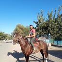 ���������� ������, ���� ������� �����, 40 ���, ������������ ��� ������, ����� � ���������